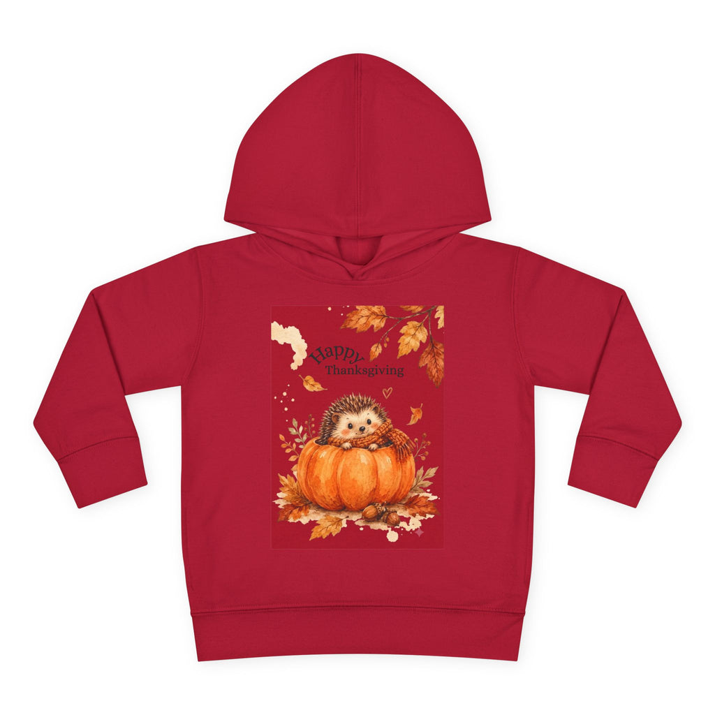 Toddler Pullover Fleece Hoodie – NidhiSLabel Studio