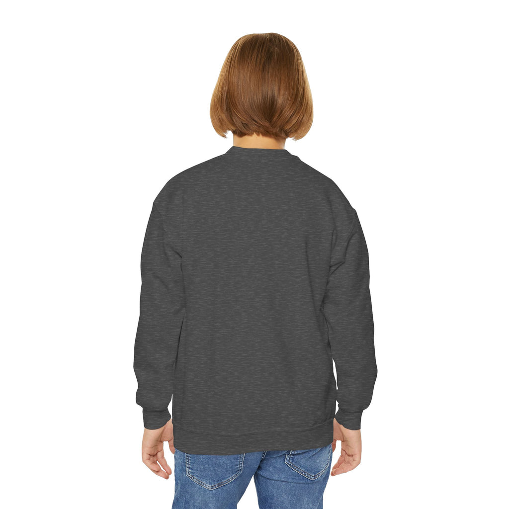 Youth Crewneck Sweatshirt — Playful Koi Fish Graphic Pullover
