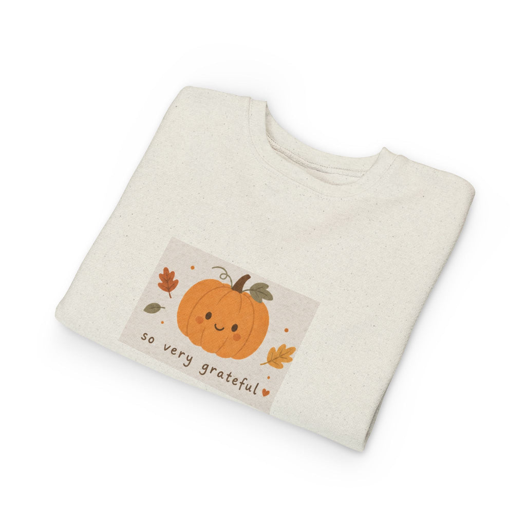 Toddler Sweatshirt