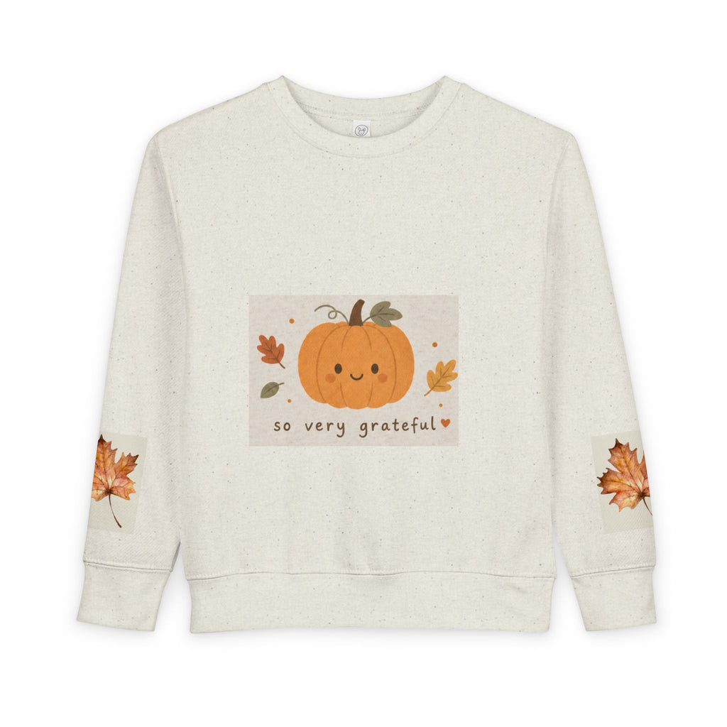 Toddler Sweatshirt