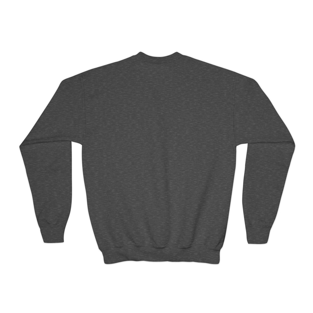 Youth Crewneck Sweatshirt — Playful Koi Fish Graphic Pullover
