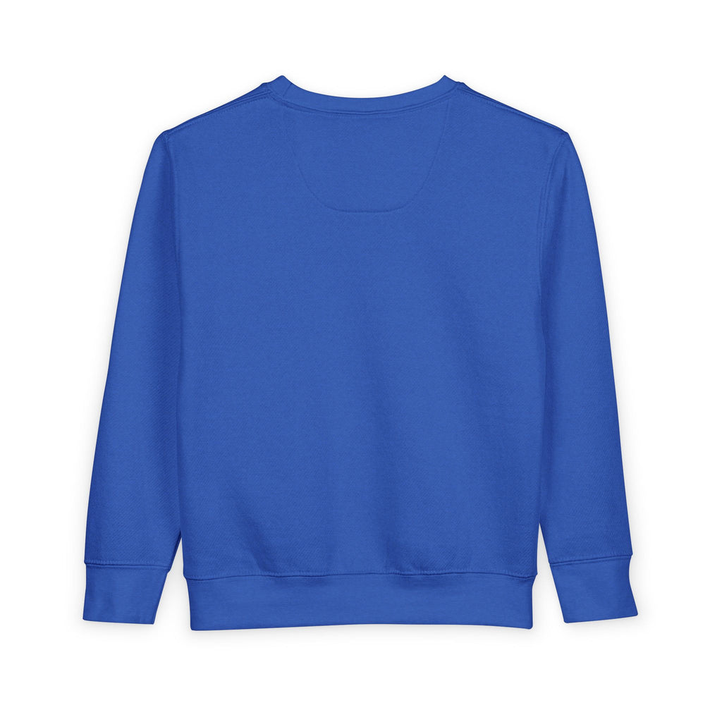 Toddler Sweatshirt