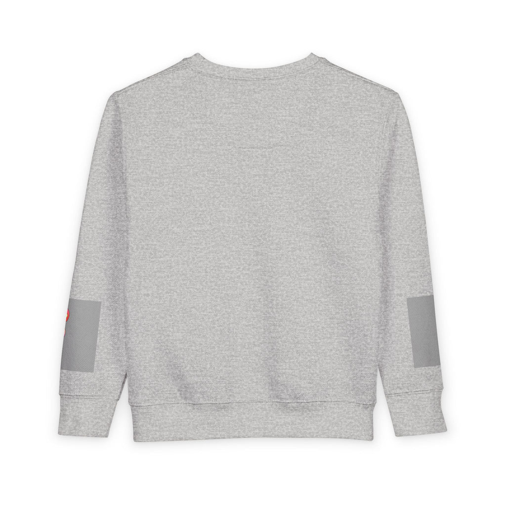 Toddler Sweatshirt