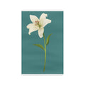 White Lily Floral Tea Towel — Botanical Microfiber Kitchen Towel